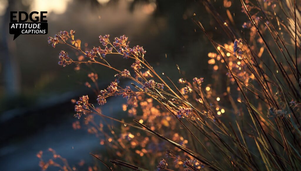 best-dawn-captions-for-instagram-for-boy