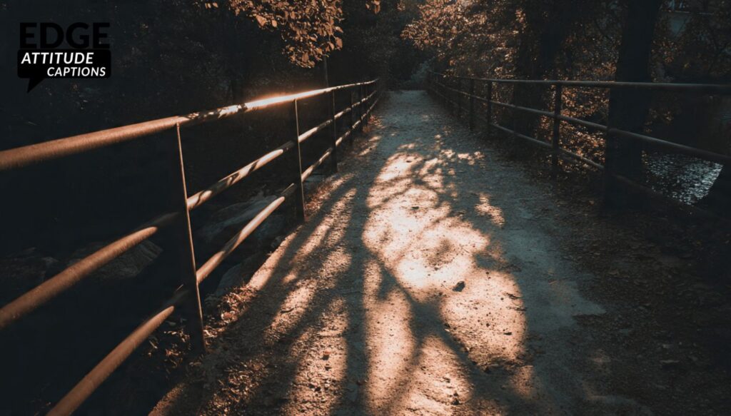 why-shadow-quotes-work-in-your-caption-game