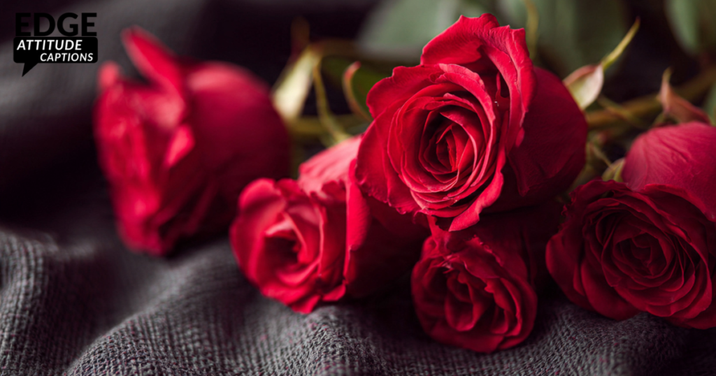 valentine-day-gifts-and-flower-meanings